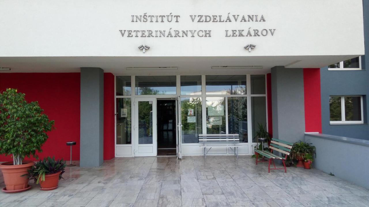 Penzion Institut Kosice Exterior photo